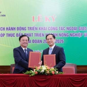 Ngoại giao kinh tế đóng góp thúc đẩy phát triển ngành nông nghiệp Việt Nam