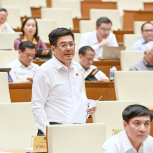 Bộ trưởng Nguyễn Hồng Diên trả lời chất vấn, giải trình về một số vấn đề liên quan đến xuất khẩu nông sản